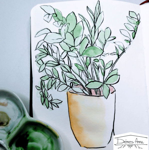 House plants and flowers - image 15 - student project