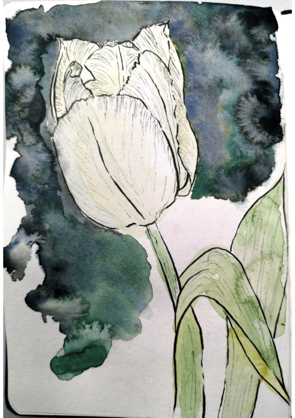 House plants and flowers - image 3 - student project