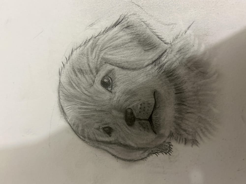 Circle and Puppy - image 1 - student project