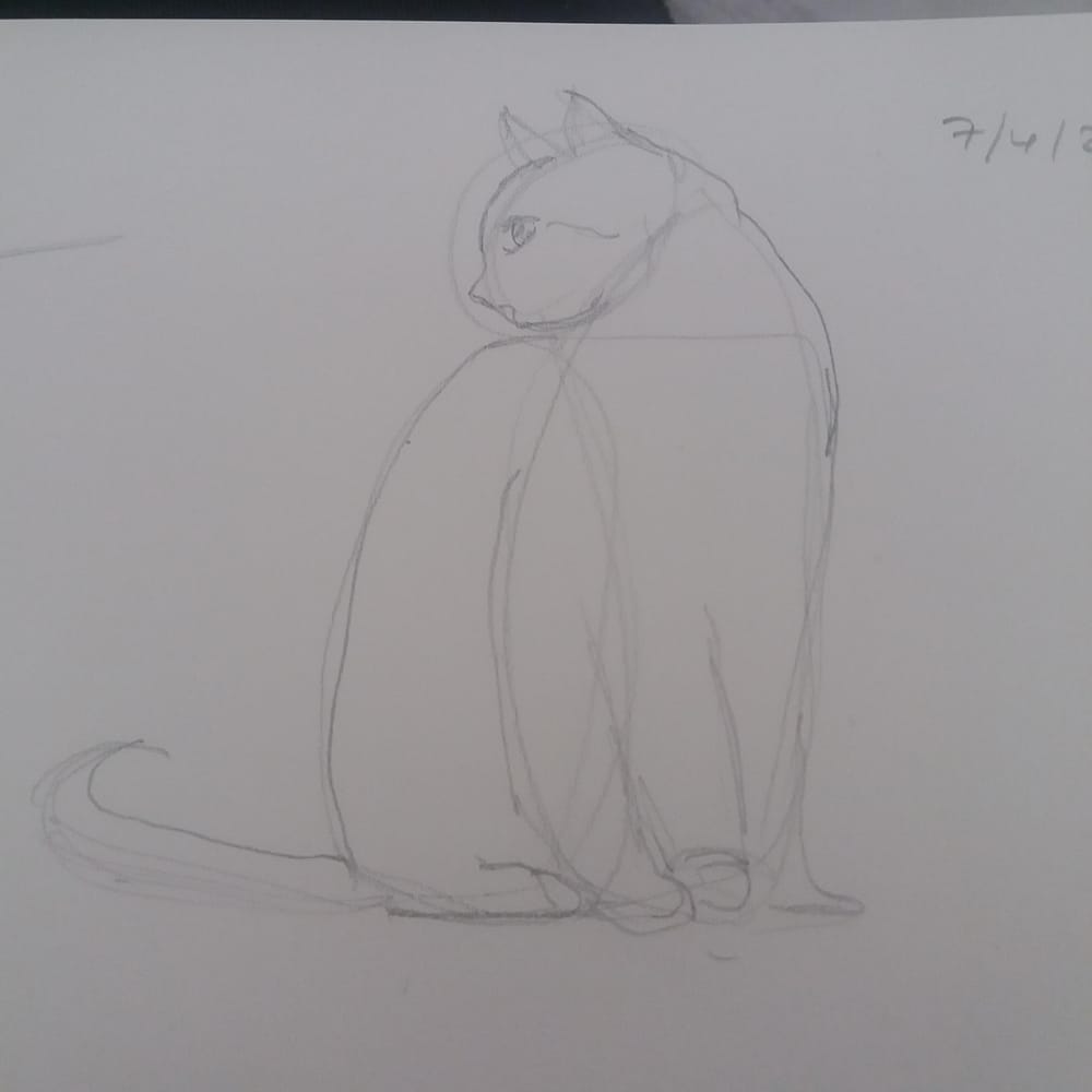 Animal Study - Drawing cats #skillshareclass - image 3 - student project