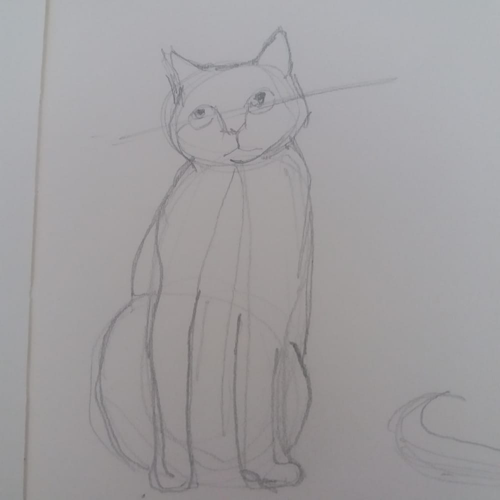 Animal Study - Drawing cats #skillshareclass - image 2 - student project