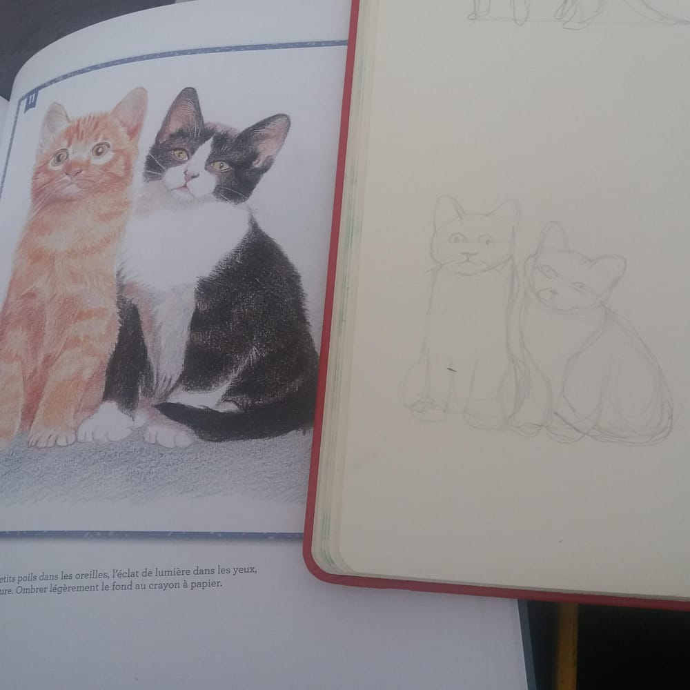 Animal Study - Drawing cats #skillshareclass - image 5 - student project