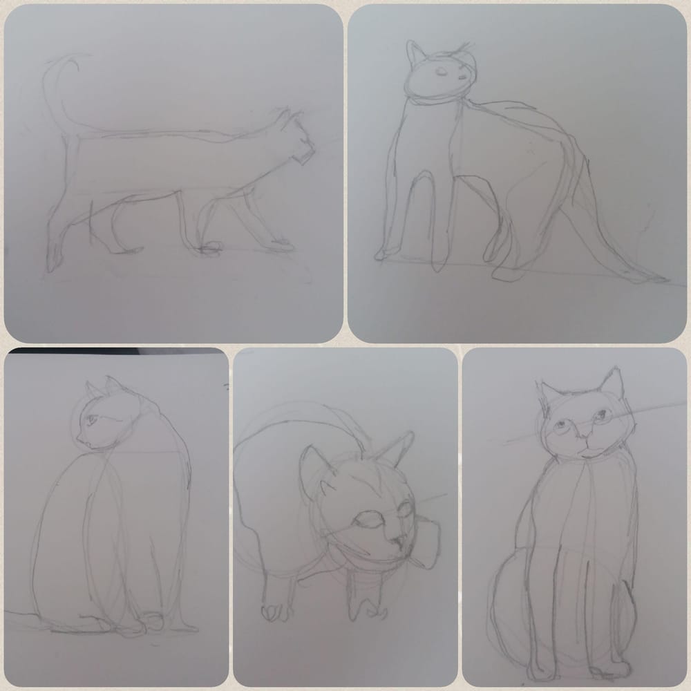 Animal Study - Drawing cats #skillshareclass - image 1 - student project