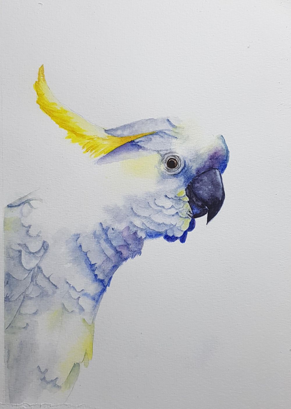 White Cockatoo . - image 1 - student project
