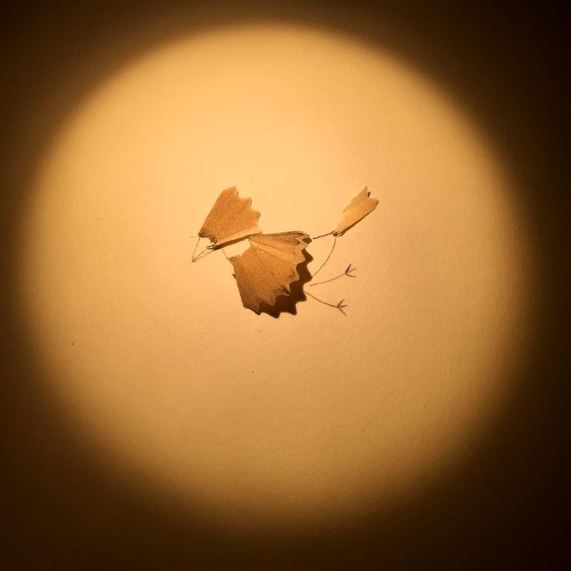 100 Birds - image 12 - student project