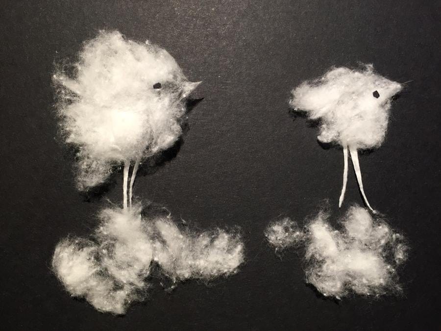 100 Birds - image 47 - student project