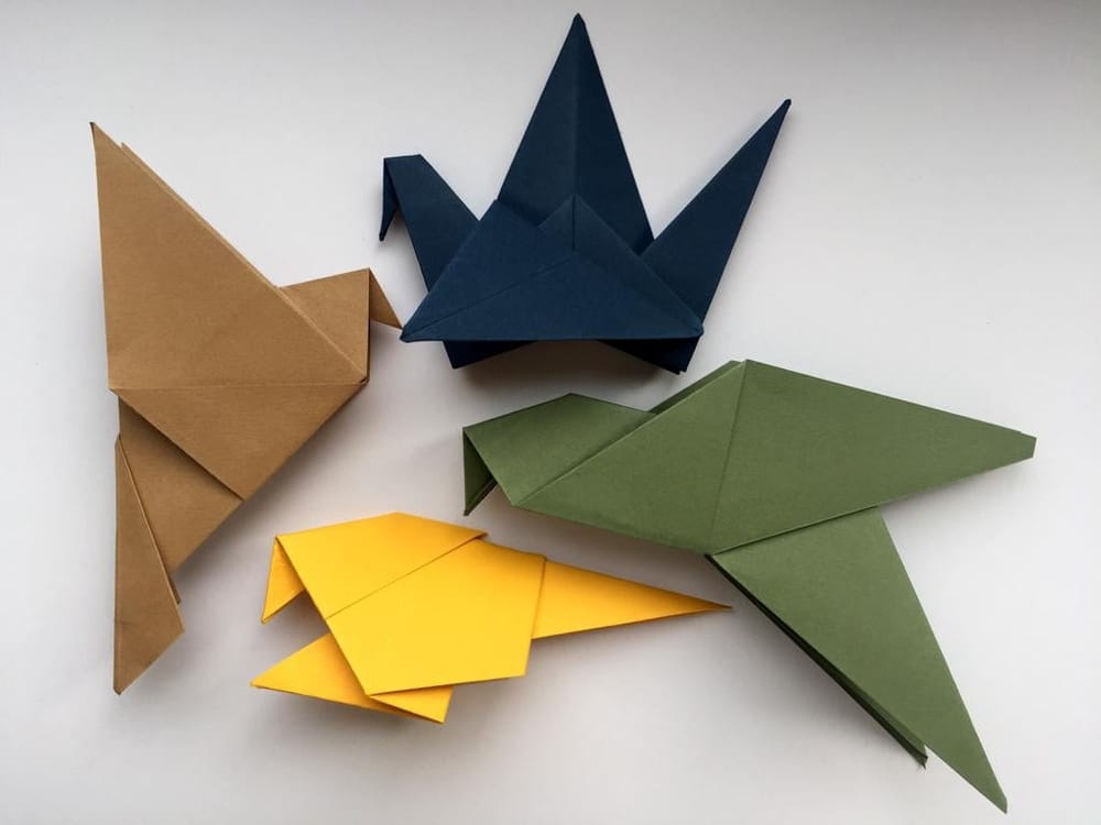 100 Birds - image 9 - student project