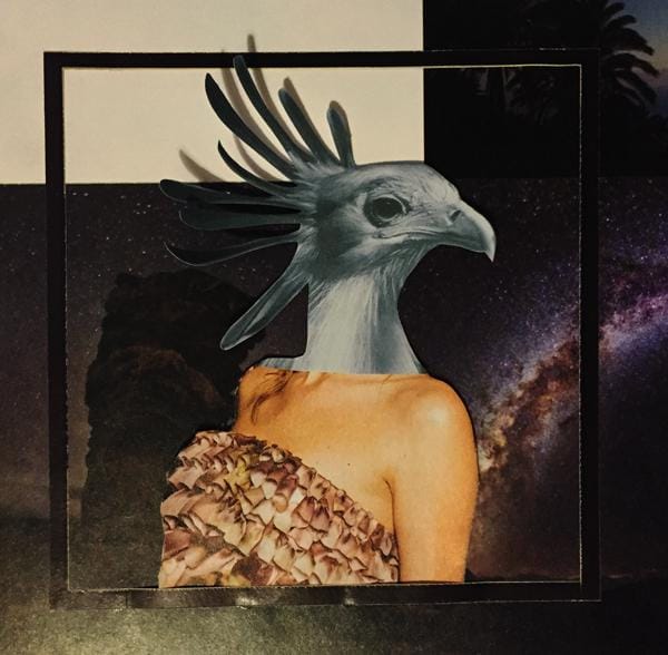 100 Birds - image 34 - student project