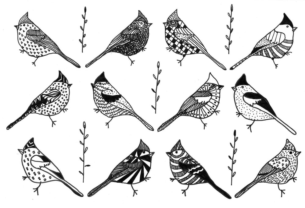100 Birds - image 37 - student project