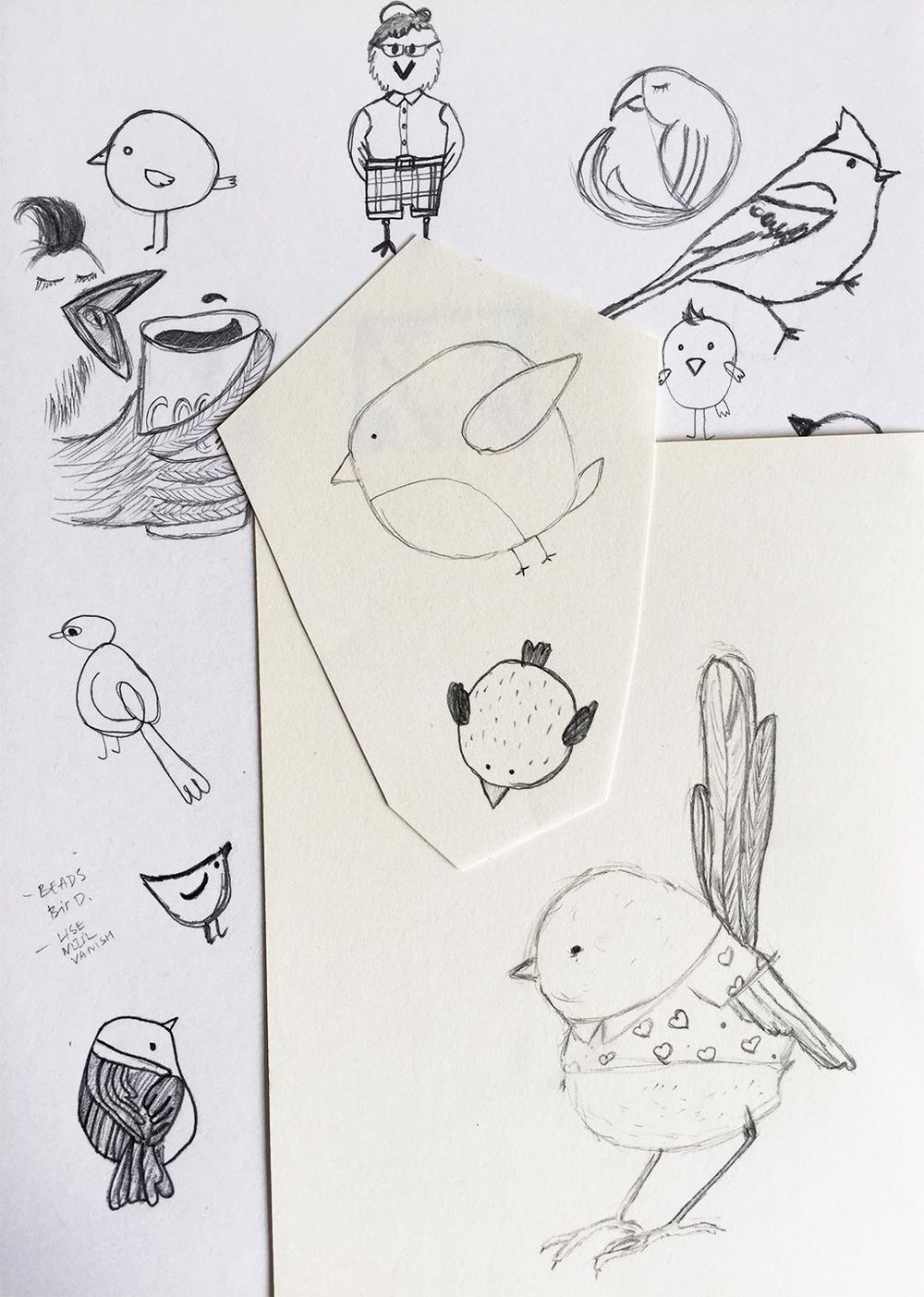 100 Birds - image 3 - student project