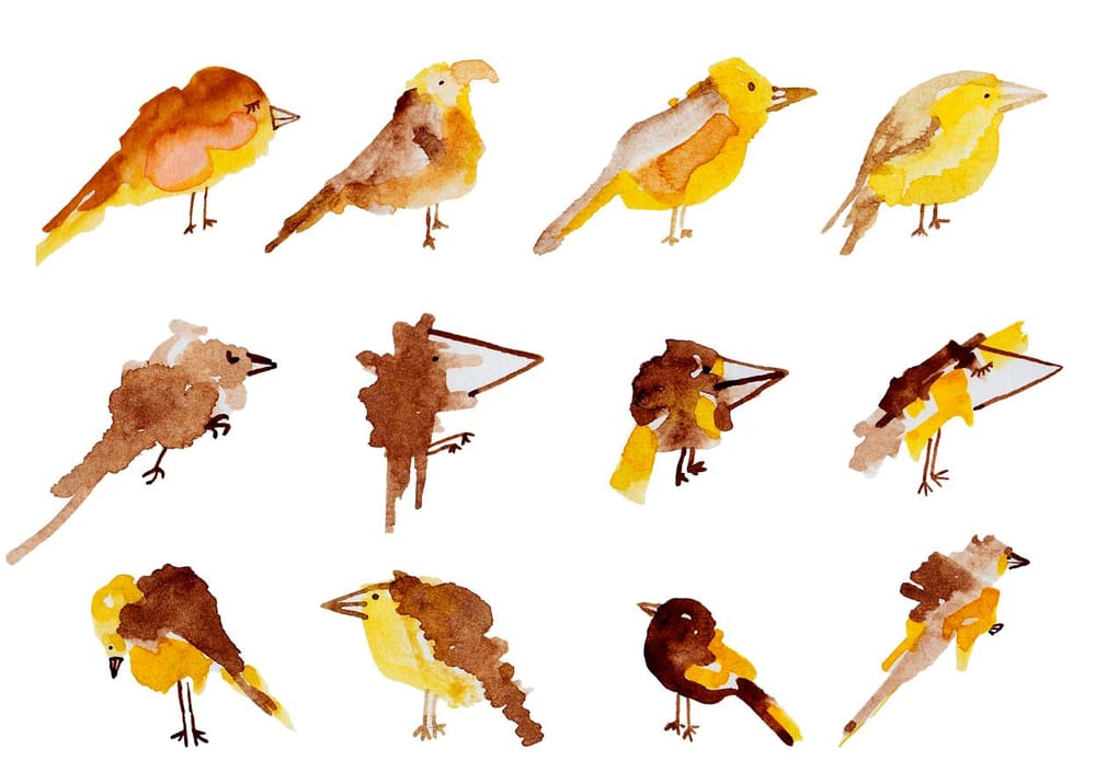 100 Birds - image 17 - student project
