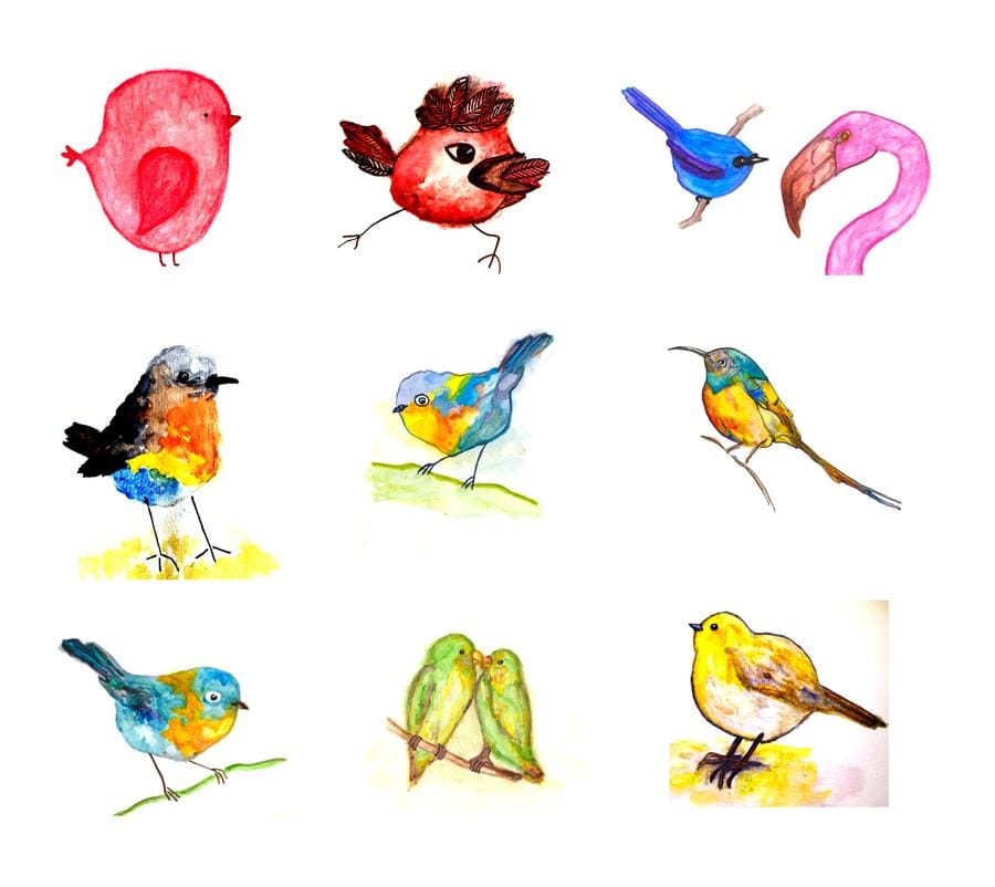100 Birds - image 21 - student project