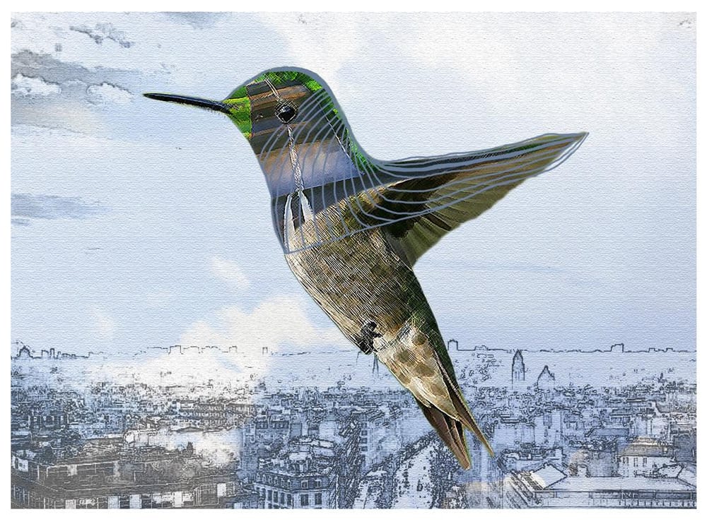 100 Birds - image 45 - student project