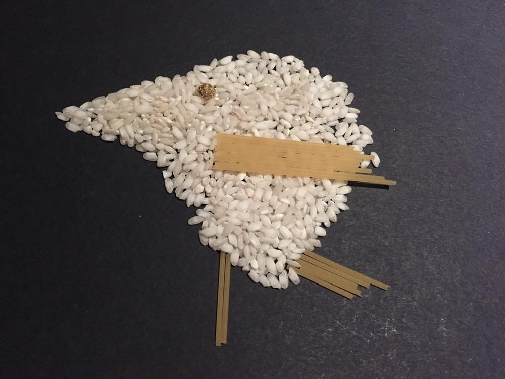 100 Birds - image 16 - student project