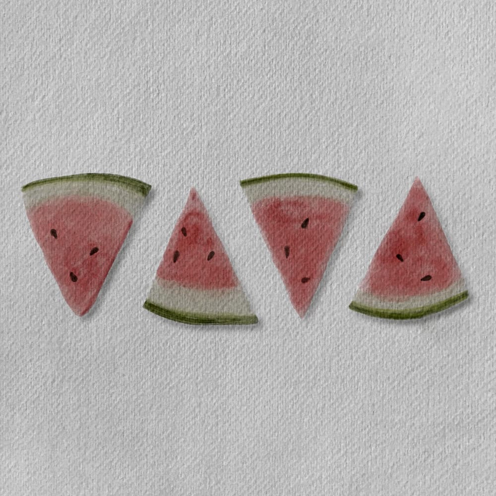 Watermelon - image 1 - student project