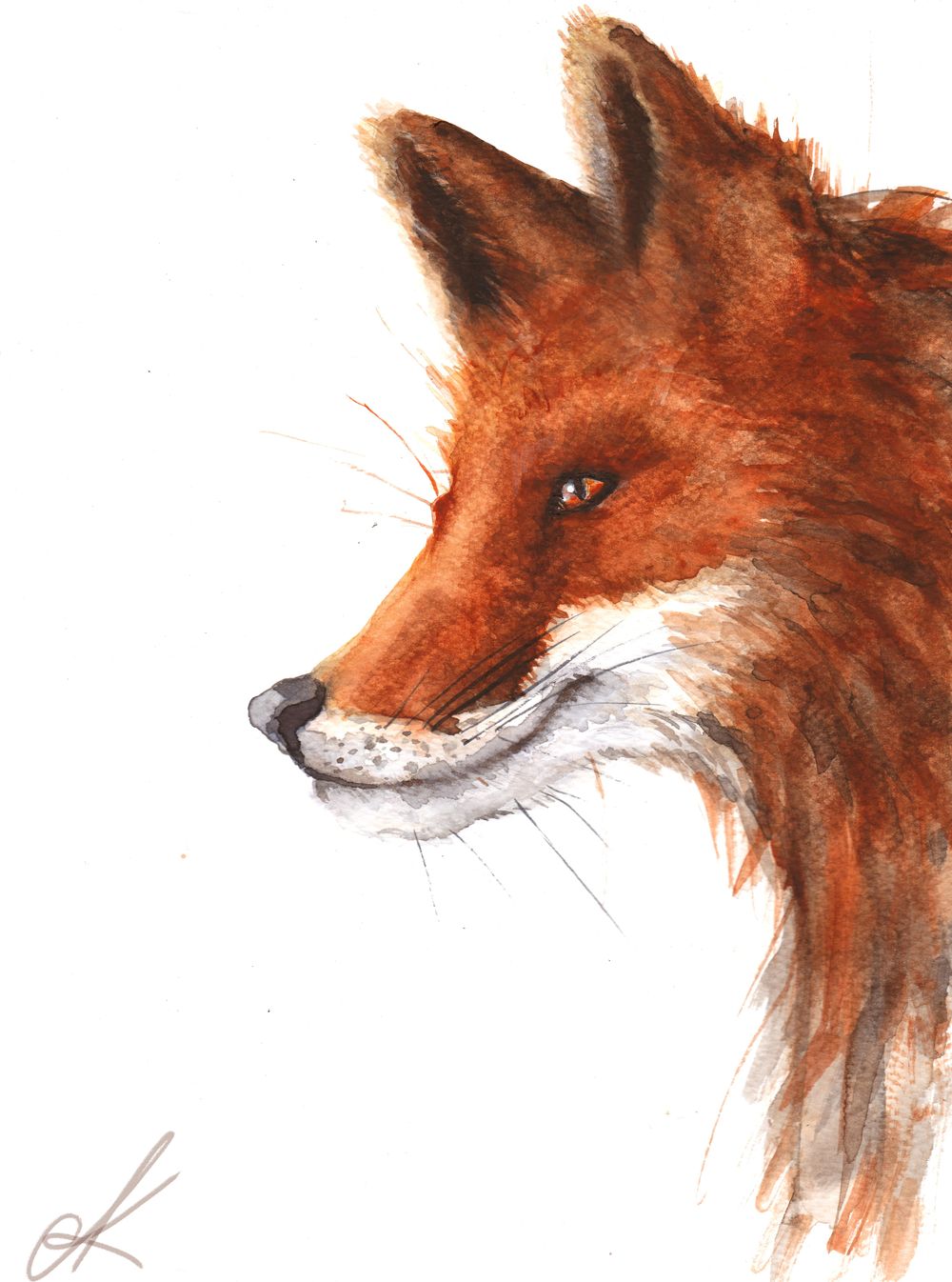 foxi - image 1 - student project