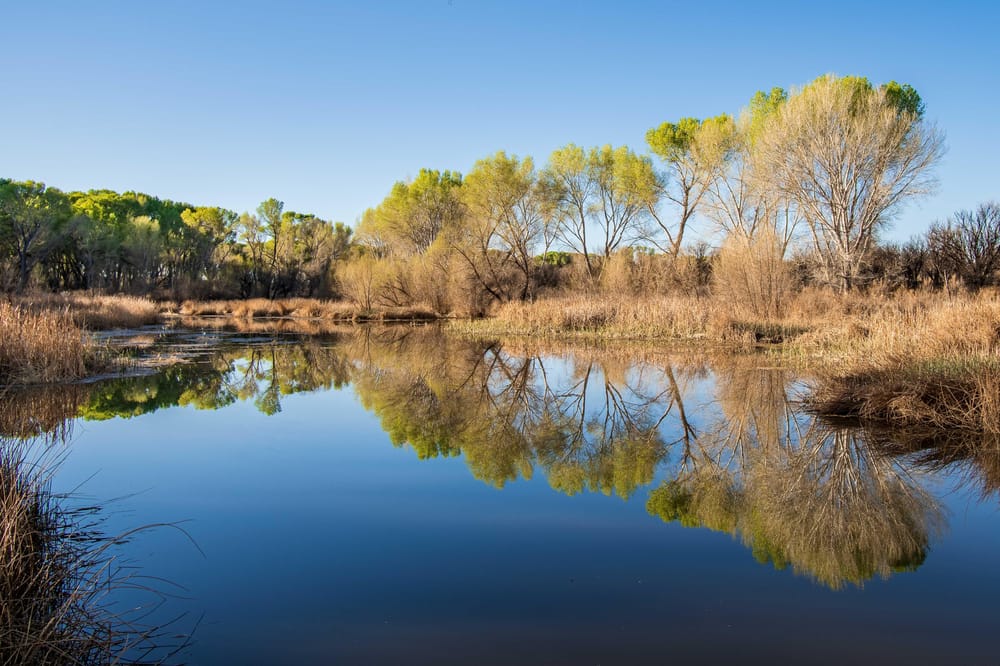 Brown Canyon Sunrise, San Pedro River sunrise, San Pedro pond - image 2 - student project