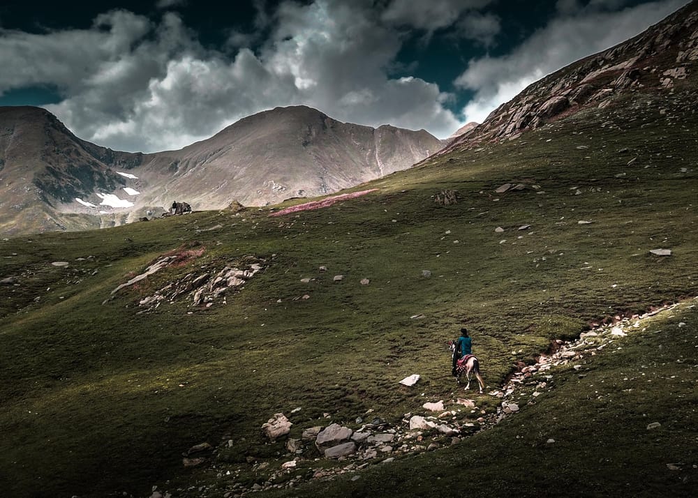 Landscape Editing - image 3 - student project
