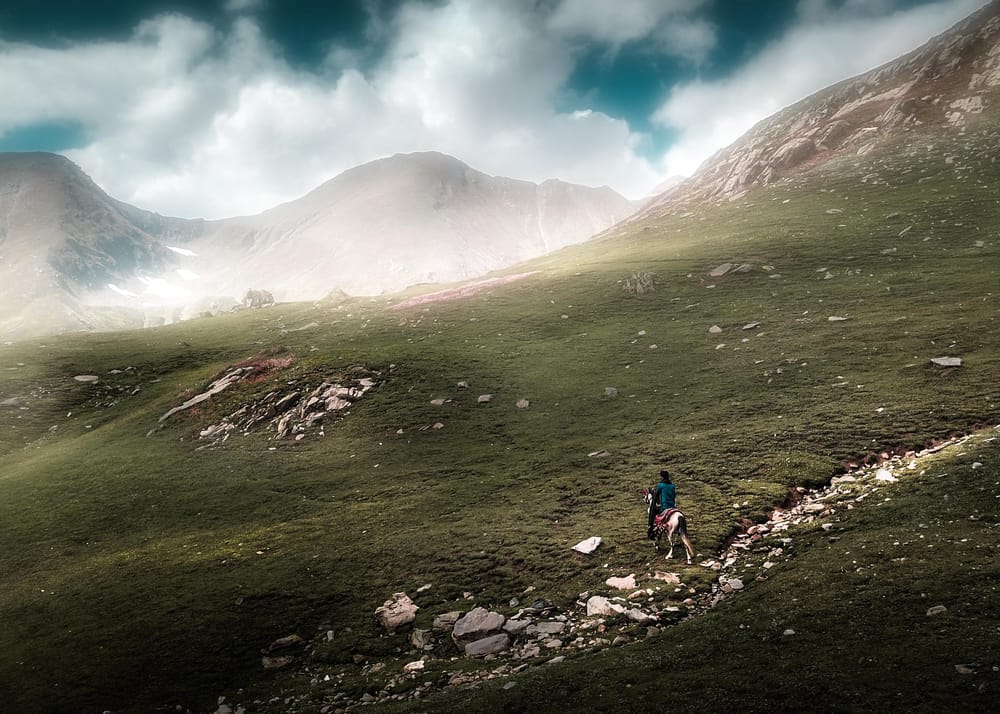 Landscape Editing - image 2 - student project