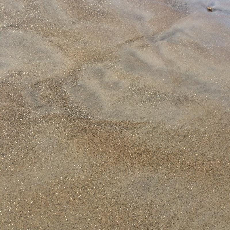 Golden California Sand - image 1 - student project
