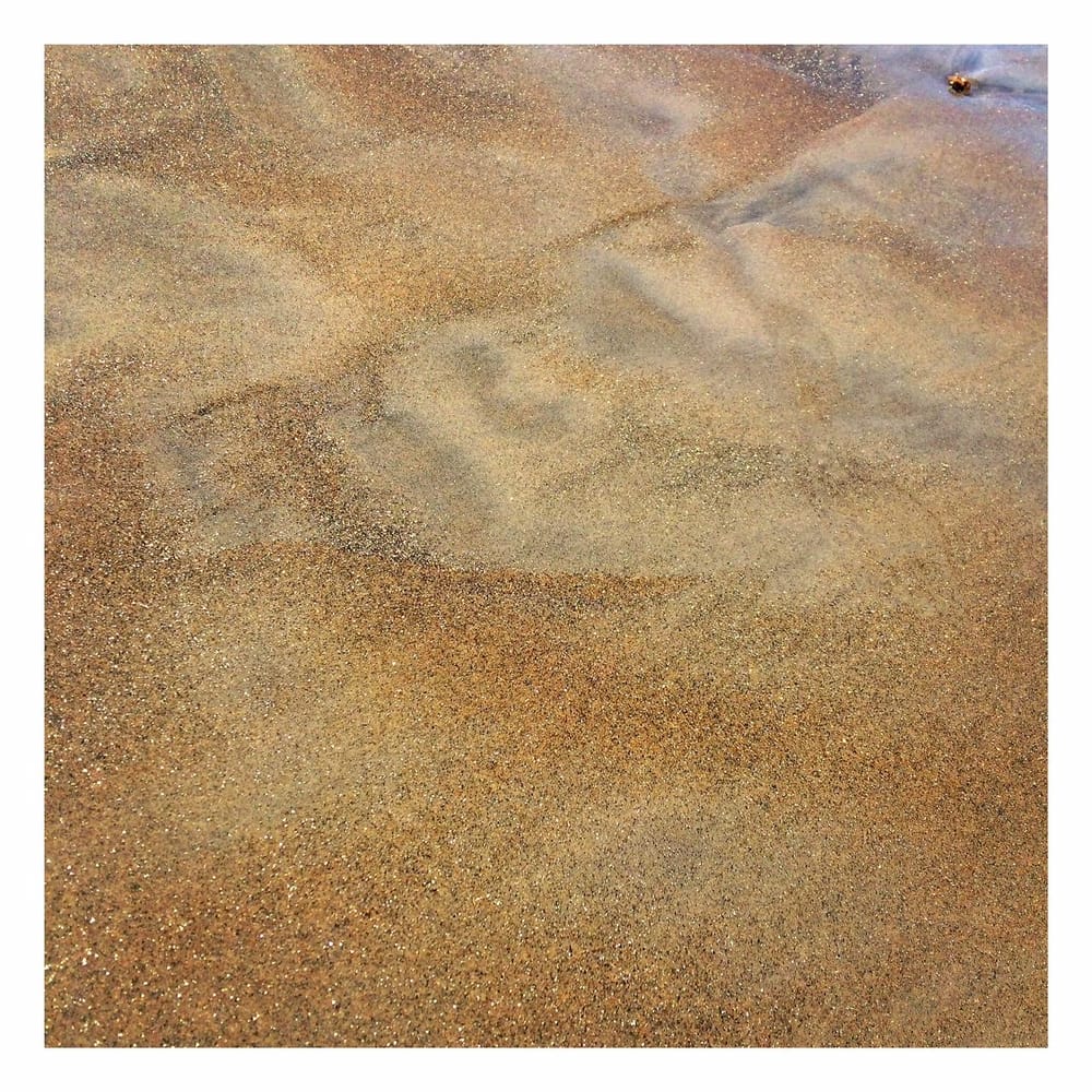 Golden California Sand - image 2 - student project