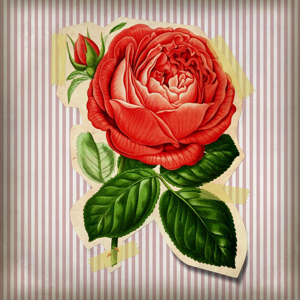 Fallout flowers - image 1 - student project