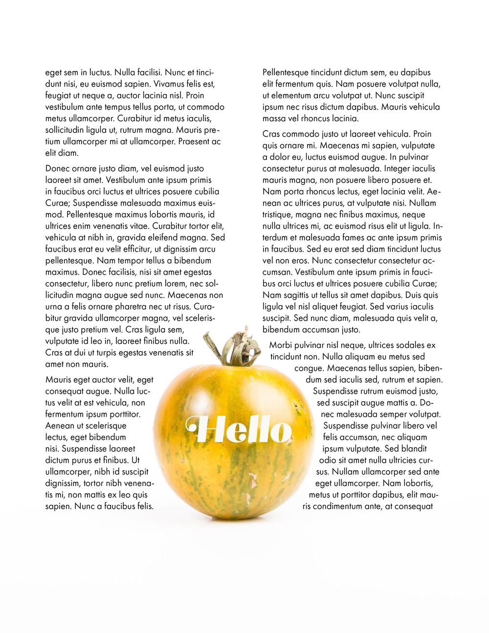 Learning InDesign - image 3 - student project