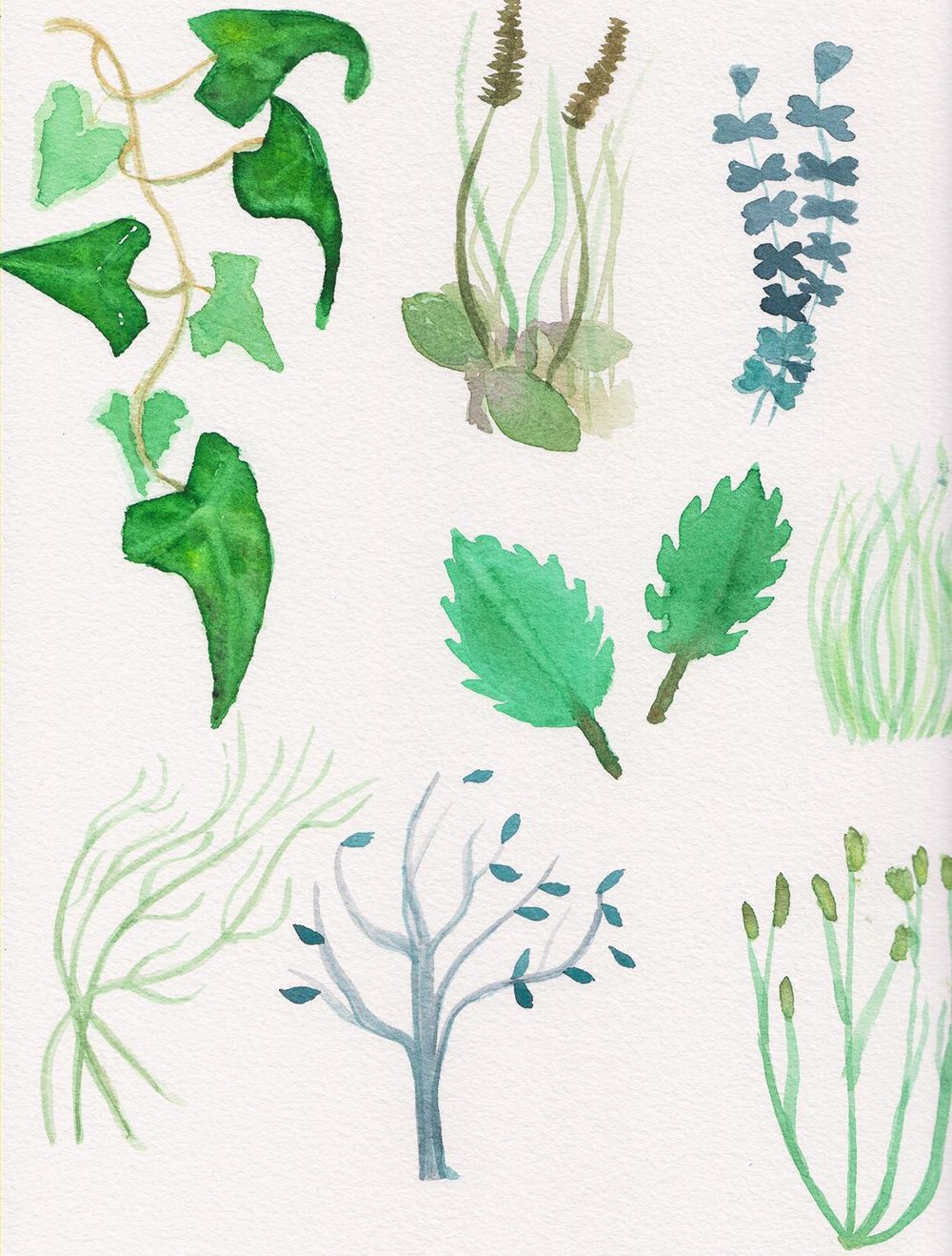 Every leaf - image 2 - student project