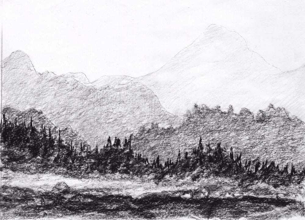 Weeks of tactille line drawings - image 1 - student project