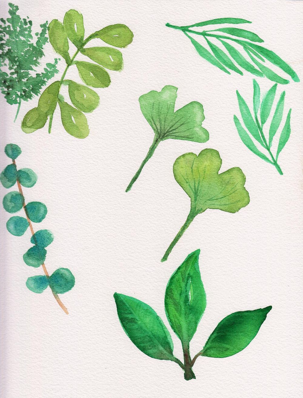 Every leaf - image 1 - student project