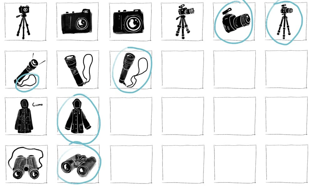 Wildlife photography - image 4 - student project