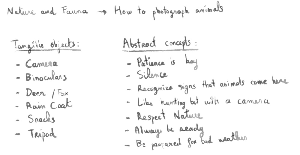 Wildlife photography - image 1 - student project