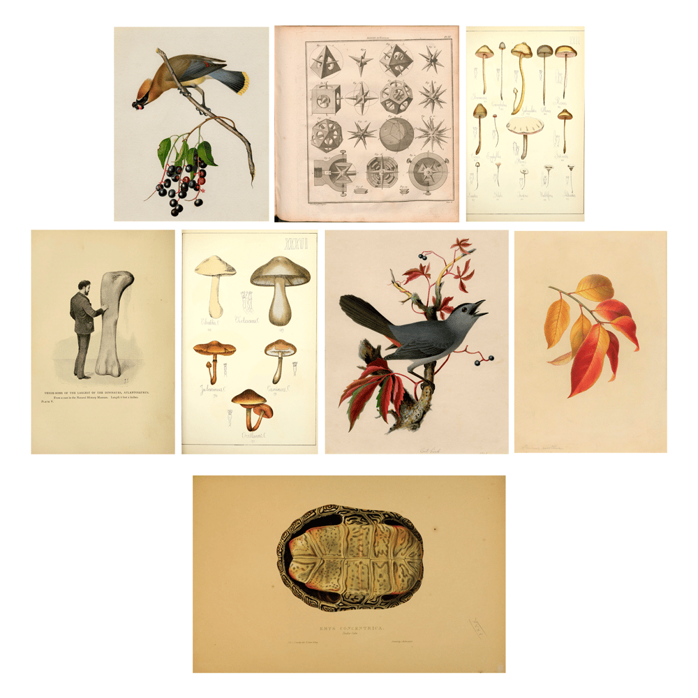 Fingerprint - image 1 - student project
