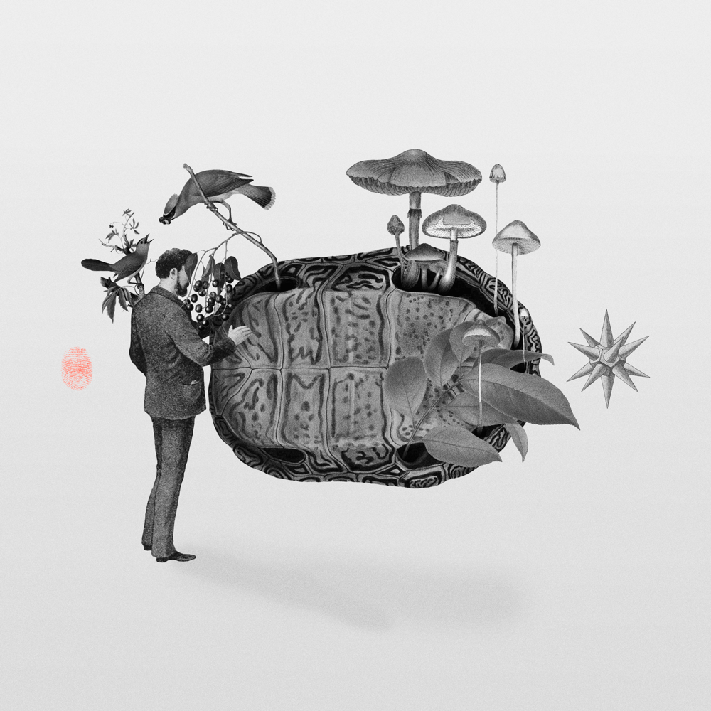 Fingerprint - image 3 - student project