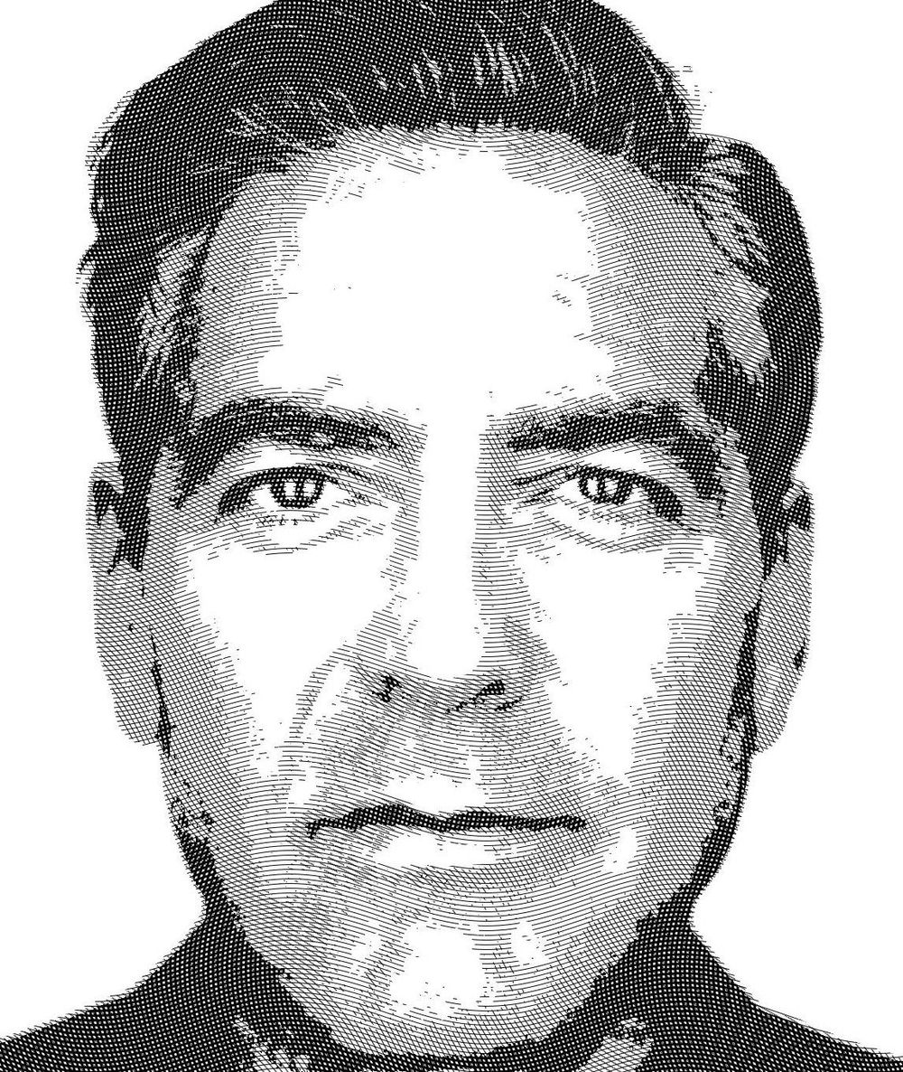 Engraved Clooney, Canadian Goose, and Loon - image 1 - student project