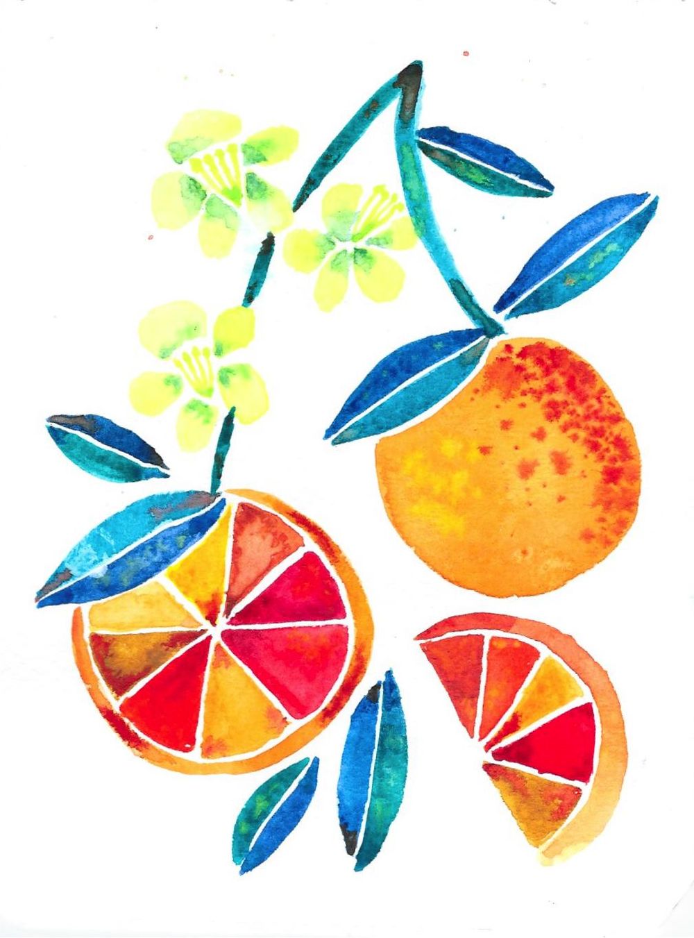 Watercolor Fruits and Florals - image 2 - student project