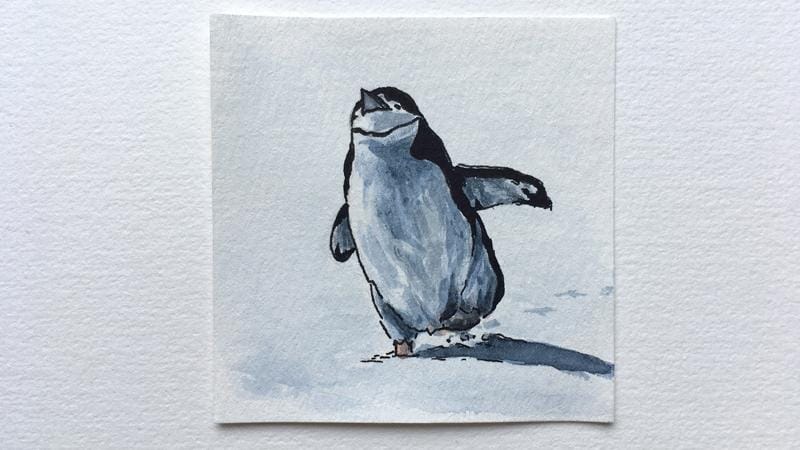 My Cute Animals - image 5 - student project