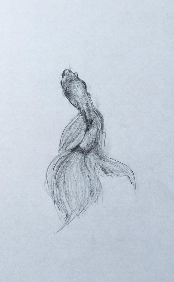 Drawing Basics - image 5 - student project