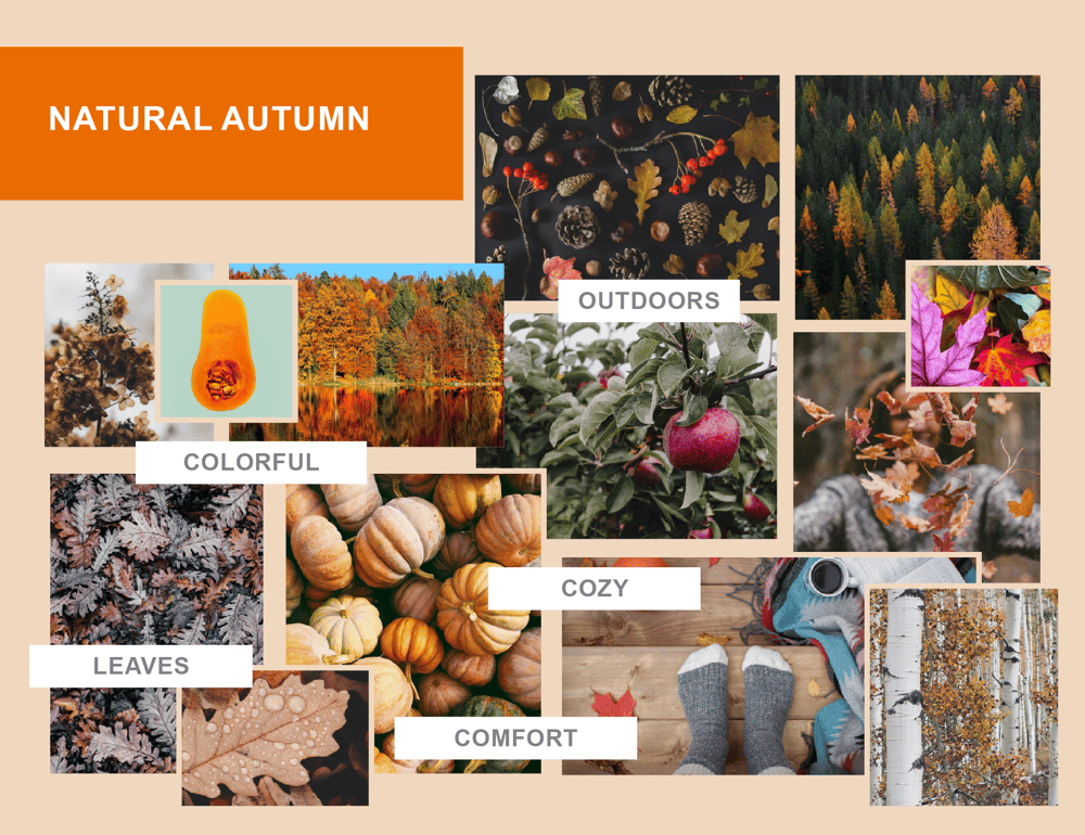 Natural Autumn - image 1 - student project