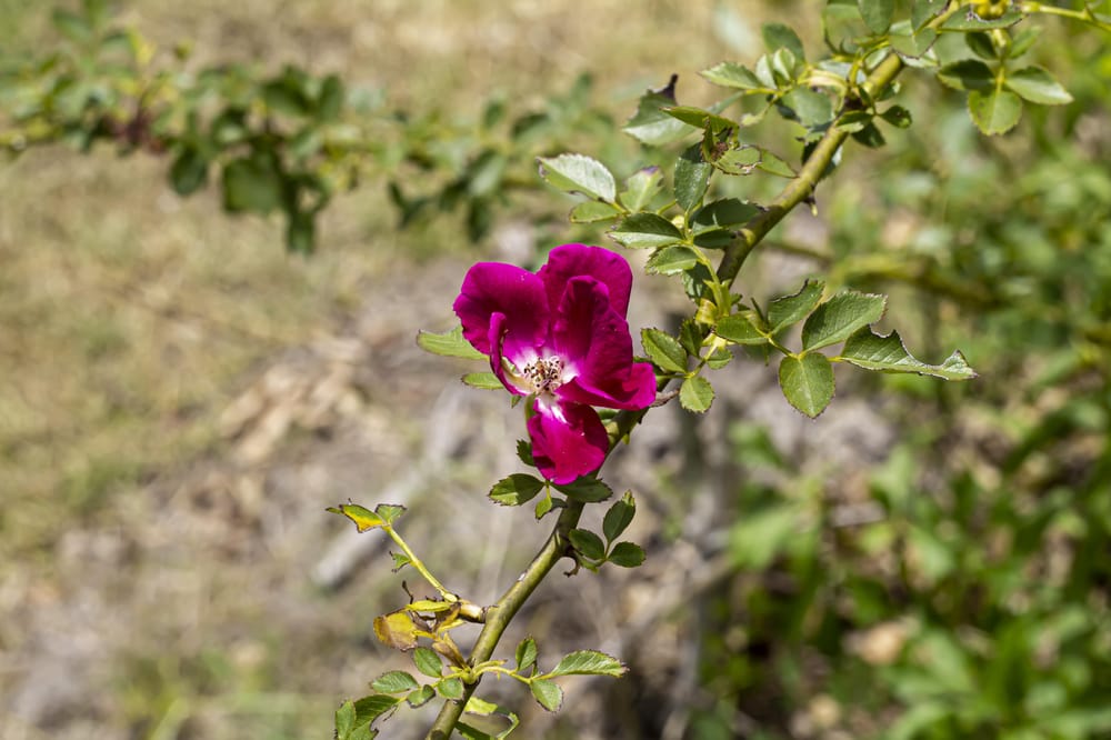 Aperture practice - image 1 - student project