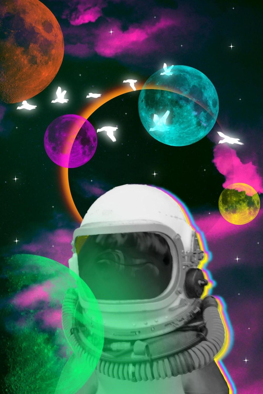 Flipper goes to Space - image 1 - student project