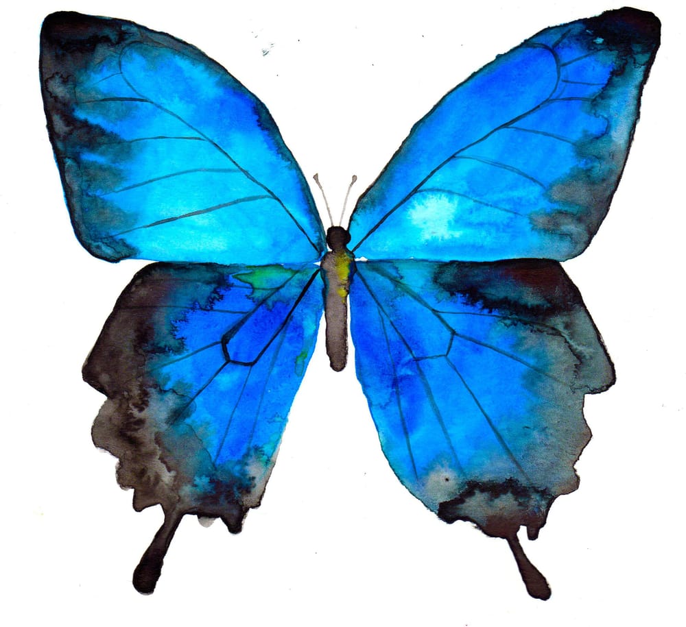 Flutters - image 2 - student project