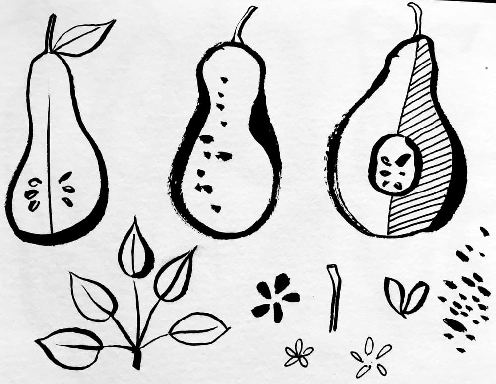 Pears Pattern - image 1 - student project