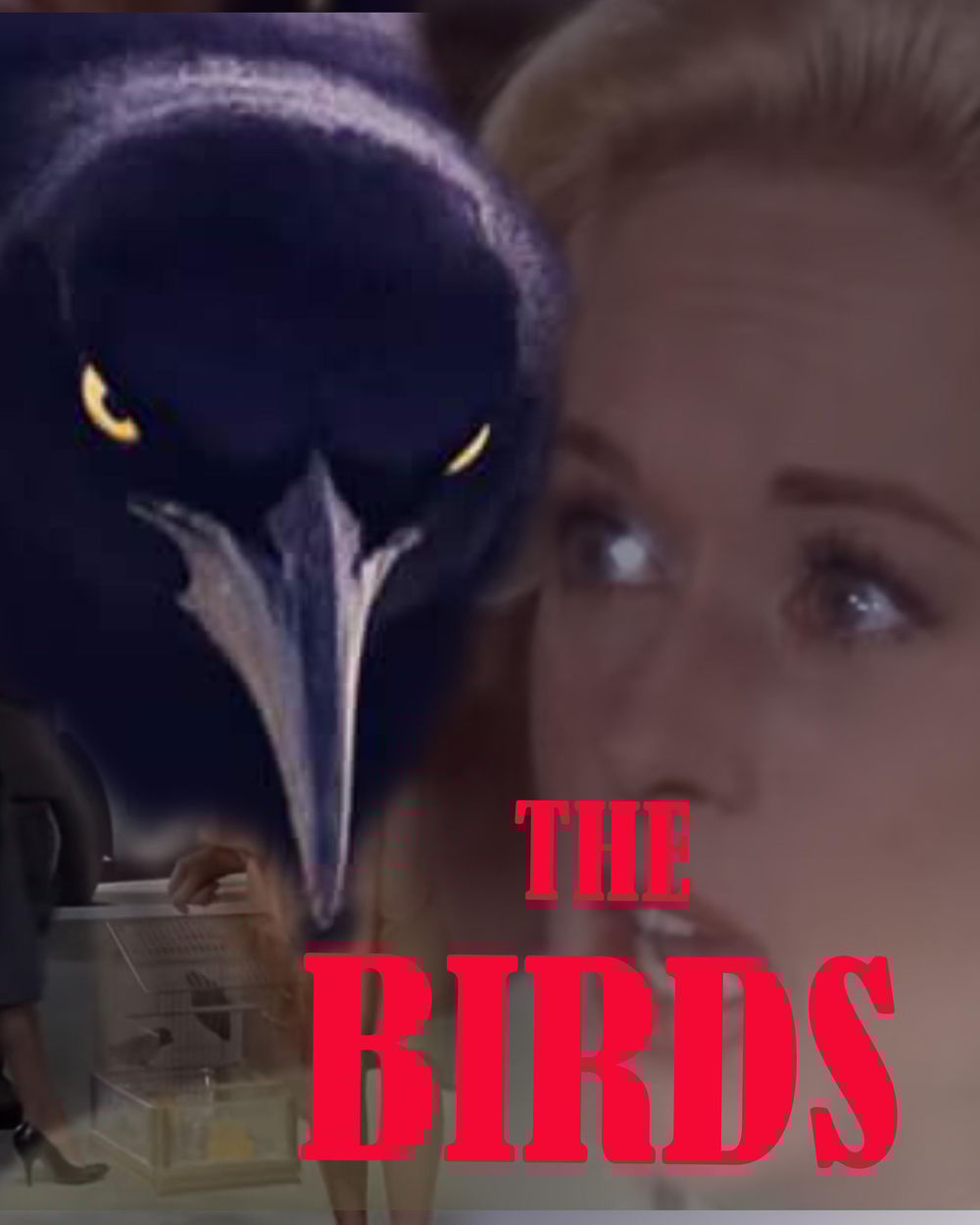 A poster for the classic movie The Birds - image 6 - student project