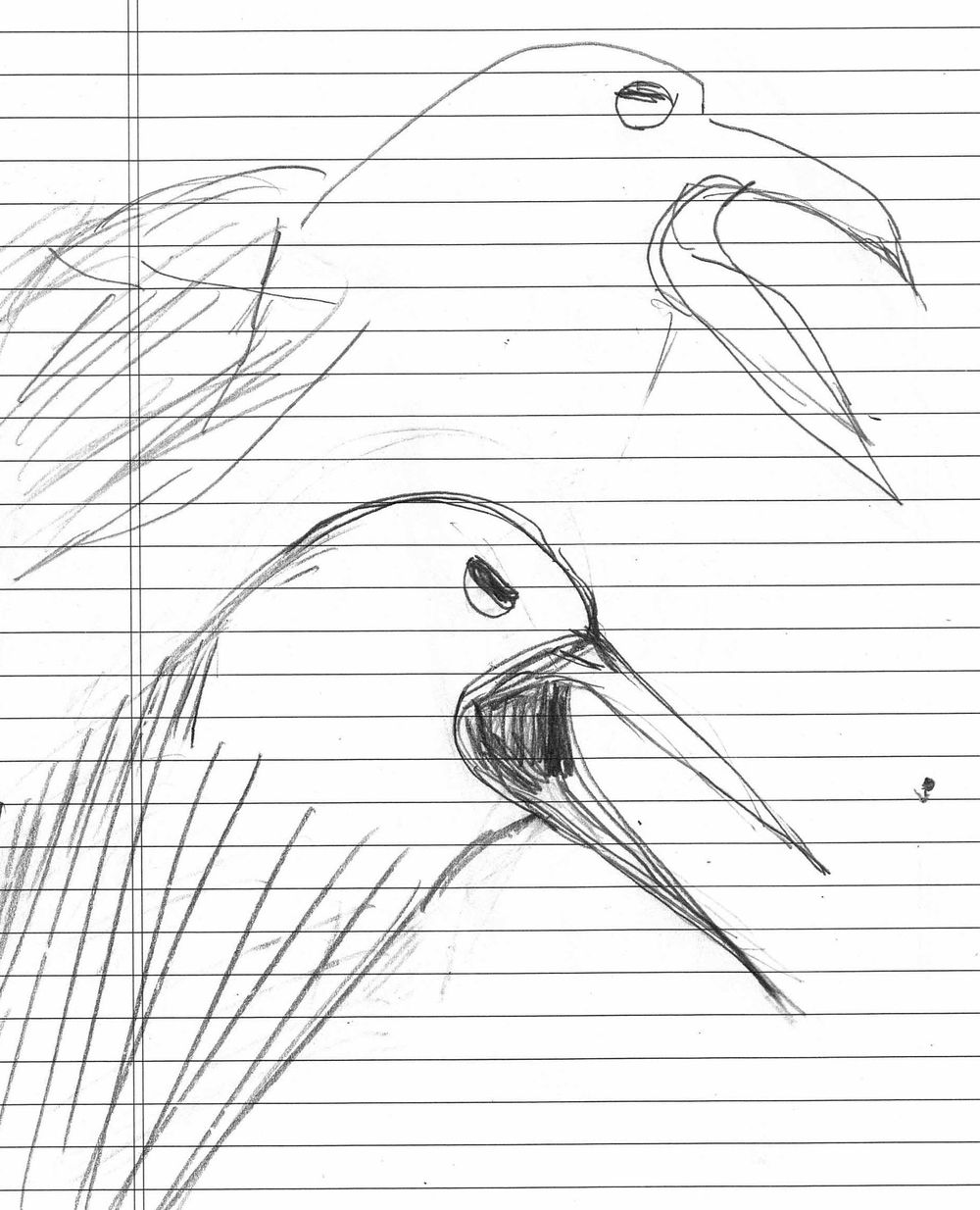 A poster for the classic movie The Birds - image 2 - student project