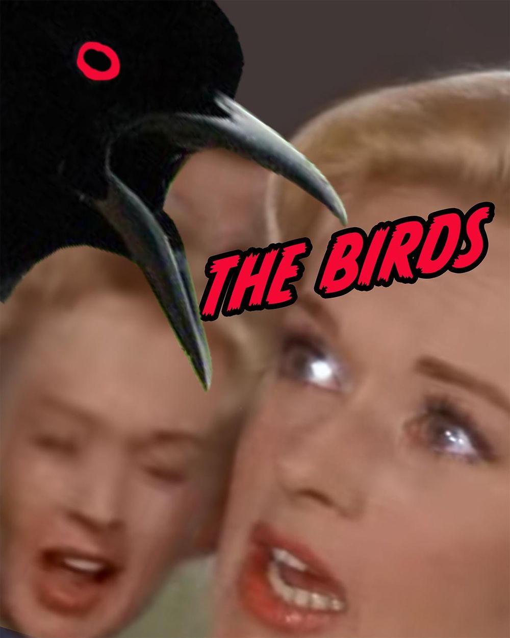 A poster for the classic movie The Birds - image 4 - student project