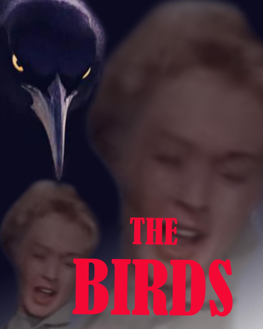 A poster for the classic movie The Birds - image 5 - student project