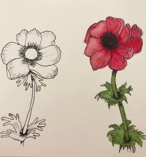 Anemone - image 1 - student project