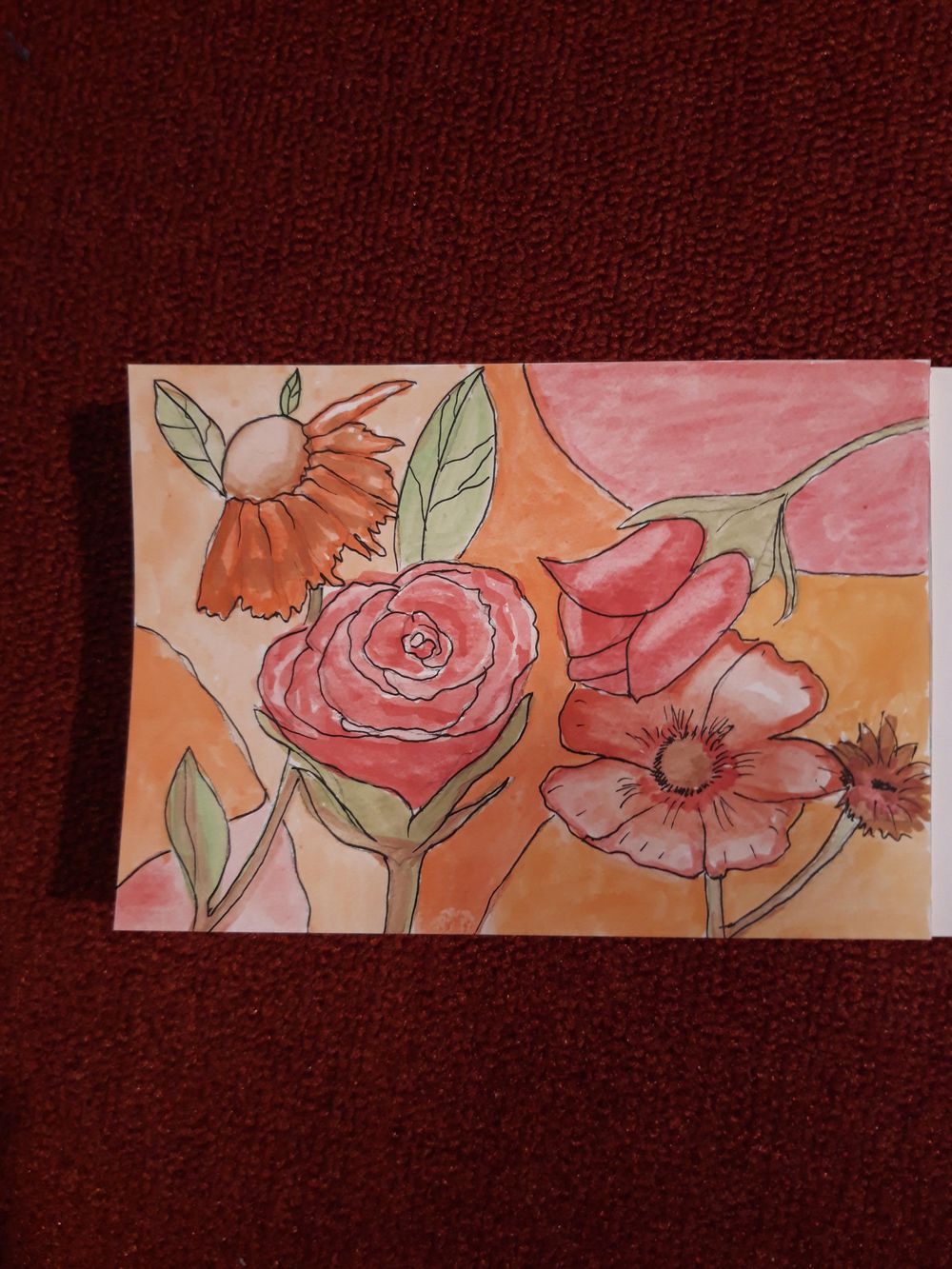 Enthusiast beginner - image 1 - student project