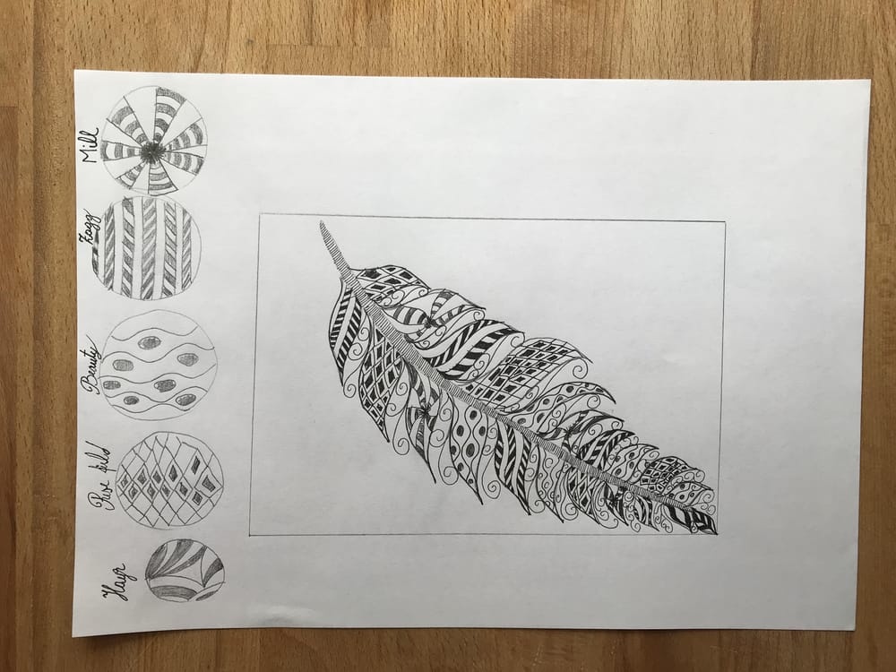 Enthusiast beginner - image 3 - student project
